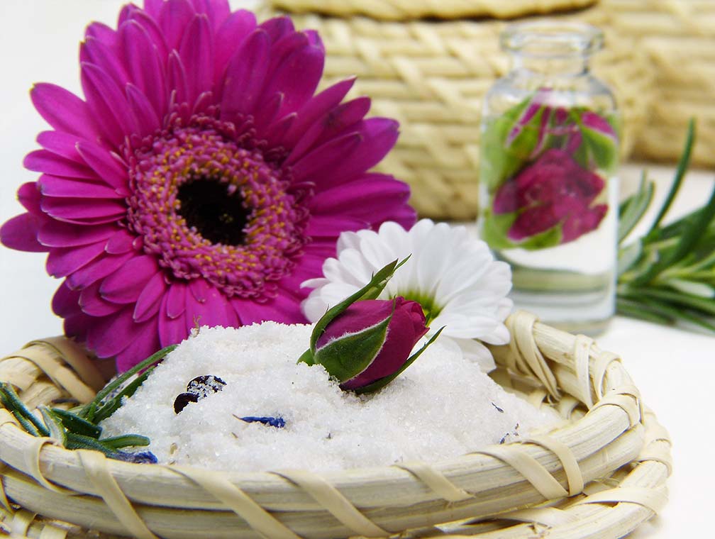 flower nature plant deco fresh therapy