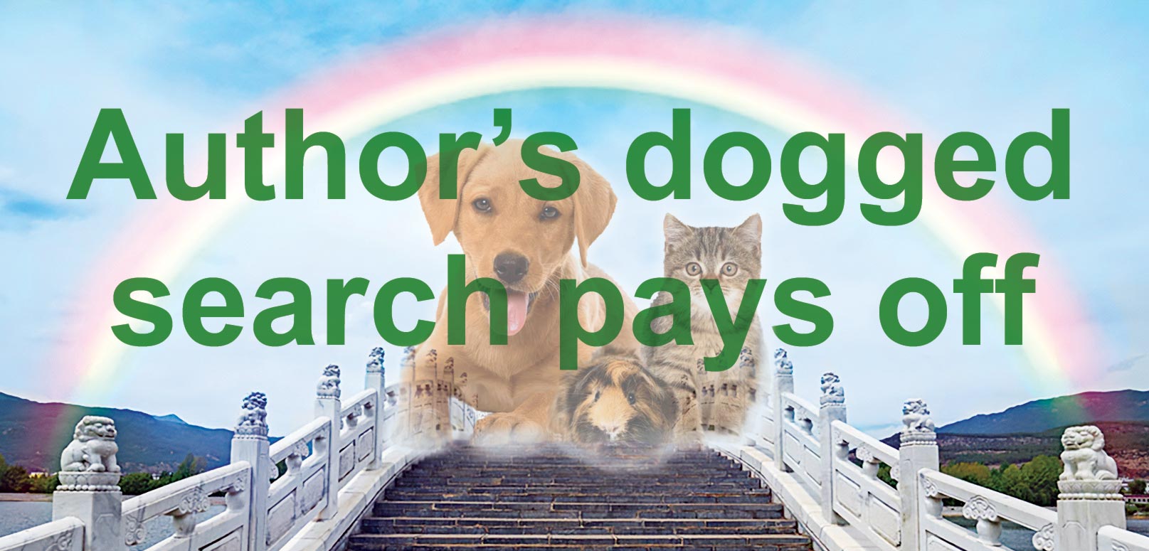 Author’s dogged search pays off
