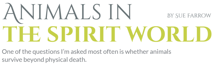 Animals in the spirit world – One of the questions I’m asked most often is whether animals survive beyond physical death. Animals in the spirit world – One of the questions I’m asked most often is whether animals survive beyond physical death.