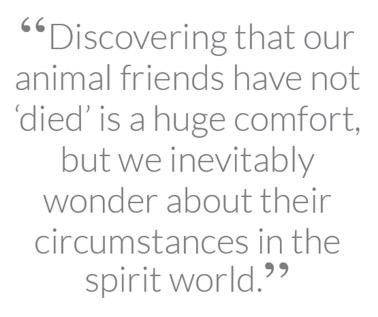 “Discovering that our animal friends have not ‘died’ is a huge comfort, but we inevitably wonder about their circumstances in the spirit world"