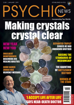 January 2019 (Issue No 4171)