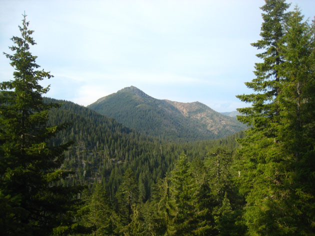 The rugged Siskiyou Mountains, California (Photo: Chris M Morris) The rugged Siskiyou Mountains, California (Photo: Chris M Morris)
