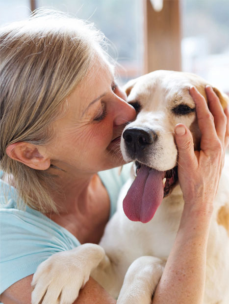 DOGS are being trained to react to various conditions, such as sniffing cancer.
