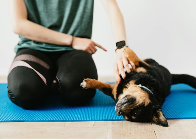 “People are overtaken by a wave of emotion after experiencing sensations of wellbeing from the close proximity to the puppies...” (Photo: Karolina Kaboompics) “People are overtaken by a wave of emotion after experiencing sensations of wellbeing from the close proximity to the puppies...” (Photo: Karolina Kaboompics)