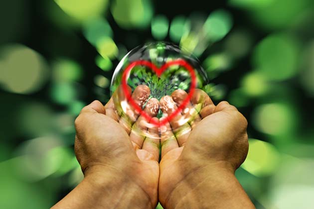 hands received on light heart soap bubble-4153925 hands received on light heart soap bubble-4153925