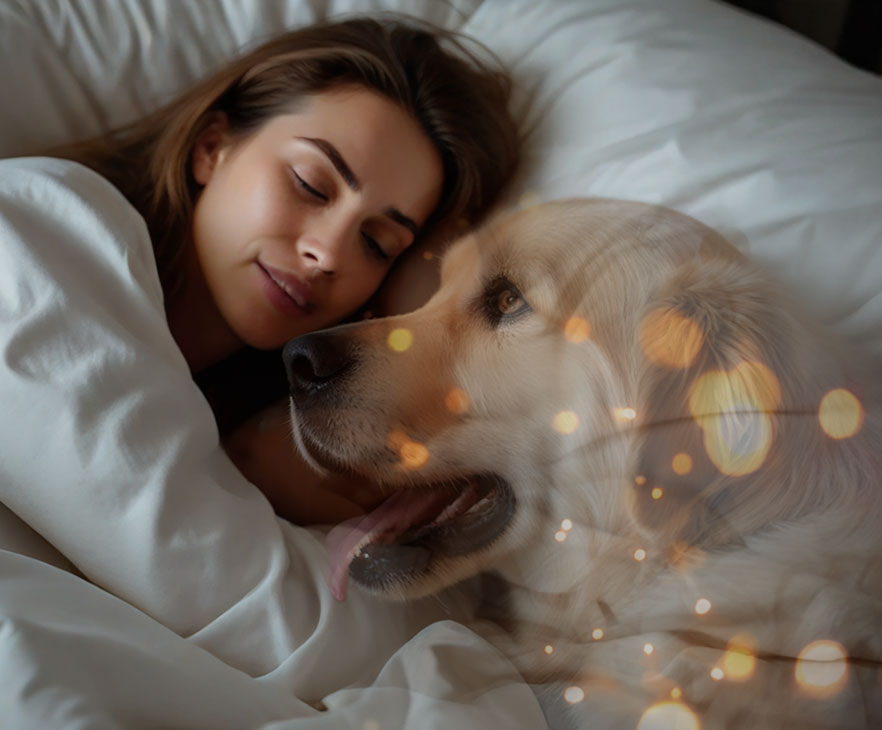 “The most commonly cited interpreted experiences included visitations in dreams” “The most commonly cited interpreted experiences included visitations in dreams”