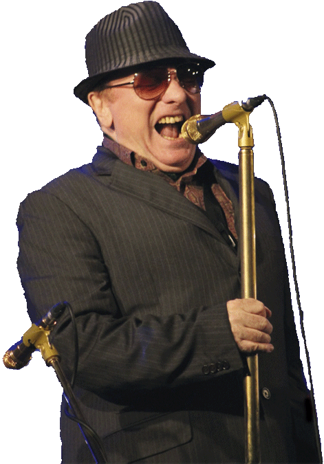 Morrison performing in 2015 (Photo: Art Siegel) Morrison performing in 2015 (Photo: Art Siegel)